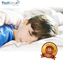 Load image into Gallery viewer, Cotton Terry Zippered Pillow Protector